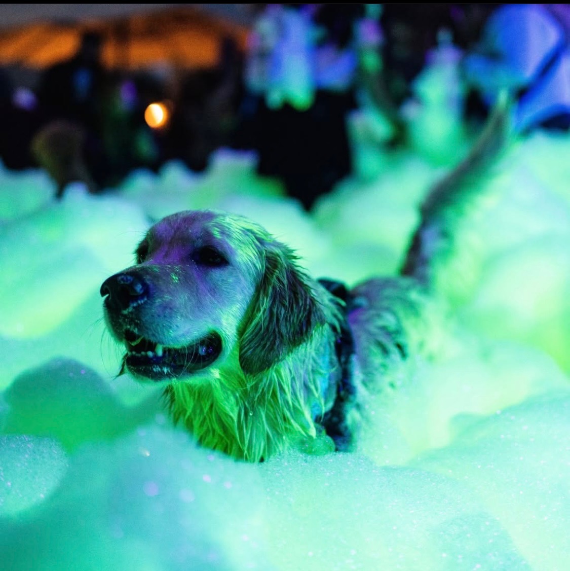 Fun for the whole family - NOCO Foam Co foam party rentals St. Cloud, FL